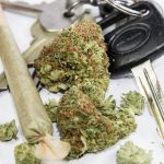 california-weed-delivery-service-raided-bureau-cannabis-control-featured